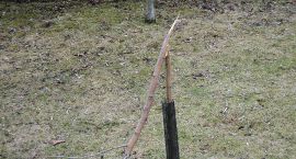 Fotka nr 1 z 12