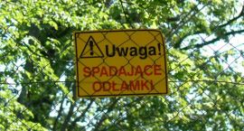 zdjęcie nr 7