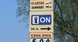 Fotka nr 4 z 10