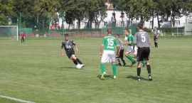 zdjęcie nr 12