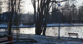 zdjęcie nr 15