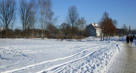 zdjęcie nr 11