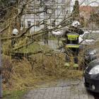 Fotka nr 1 z 12