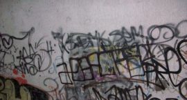 Fotka nr 5 z 6