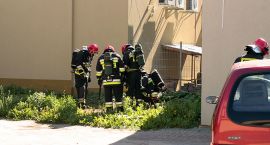 Fotka nr 3 z 11