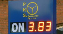 Fotka nr 3 z 8