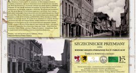 zdjęcie nr 8