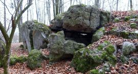 Fotka nr 1 z 6