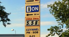 Fotka nr 5 z 8