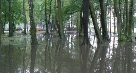 zdjęcie nr 13