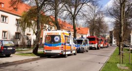 zdjęcie nr 8