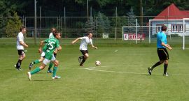 zdjęcie nr 8