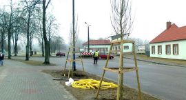 zdjęcie nr 10