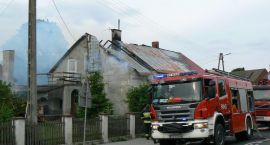 zdjęcie nr 7