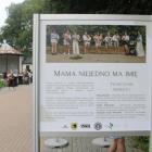 zdjęcie nr 22