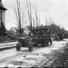 Fotka nr 2 z 5