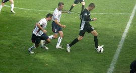 zdjęcie nr 11