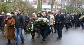 zdjęcie nr 13