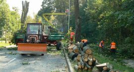 zdjęcie nr 16