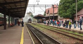 zdjęcie nr 15