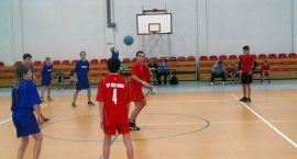 Fotka nr 4 z 12