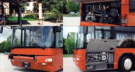 Fotka nr 5 z 6
