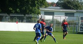 zdjęcie nr 8