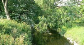 Fotka nr 1 z 14