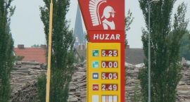 zdjęcie nr 8