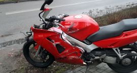 Fotka nr 3 z 7