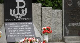 zdjęcie nr 13