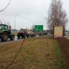 zdjęcie nr 12