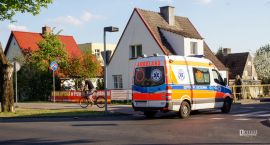 Fotka nr 1 z 3