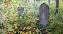 zdjęcie nr 16
