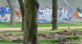 Fotka nr 5 z 6