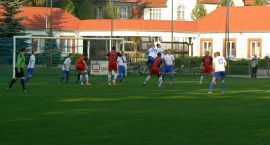 zdjęcie nr 8