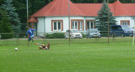 zdjęcie nr 26