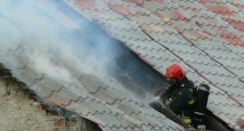 zdjęcie nr 9