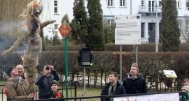 zdjęcie nr 22