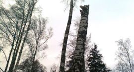 zdjęcie nr 8