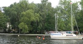 zdjęcie nr 25
