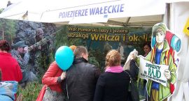zdjęcie nr 15