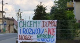 Fotka nr 2 z 31