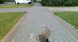Fotka nr 1 z 4