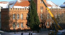 zdjęcie nr 22
