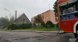 Fotka nr 5 z 6