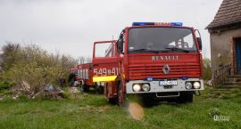 Fotka nr 2 z 4