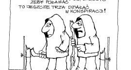 zdjęcie nr 9