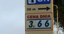 Fotka nr 4 z 8