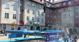 zdjęcie nr 8